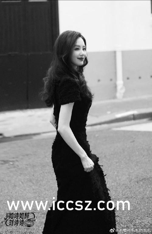 艋甲在线观看,在线重温经典，感受热血青春的激情岁月  第1张